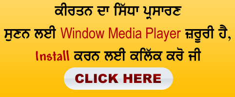 Download Media Player